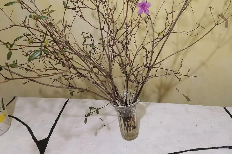 стол из фанеры, а на столе багульник в вазе