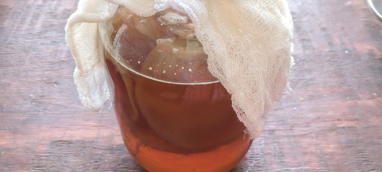 Трёхлитровая банка с чайным грибом